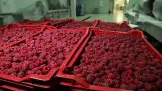 Biofach 2022 - ITN Group