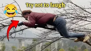 Best Funny Clips of the Month | Try Not To Laugh