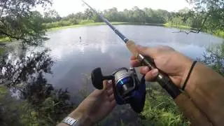 904 Fishing The Hidden Pond