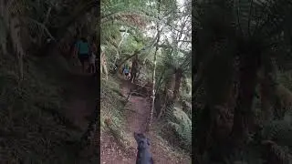 Bora fazer a trillhinha do indio na fazenda Evaristo em Rio Negrinho SC