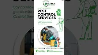 Emergency Pest Control in Dubai: 24/7 Same-Day Service | #1 Experts #PestControlServicesInDubai