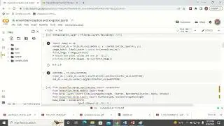Python Code for Ensemble Model for Image Classification