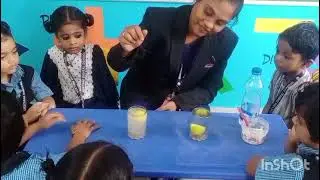 LKG Lemon Activity