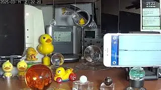 Sismo magnitud 5.5 con efectos débiles en la Ciudad de México. (14/mar/2025)