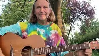 The Princess Tree (Werner Krotz-Vogel: Fingerstyle Guitar)
