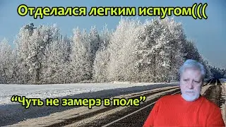 Как одолеть мороз? Харьковские вести