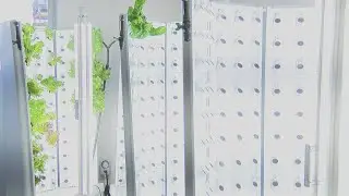 Sustainably Speaking: Fork Farm's units at Luxemburg Casco High School