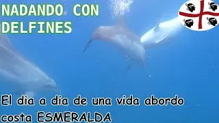 NADAMOS CON DELFINES EN LA COSATA ESMERALDA