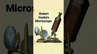 Cell discovery🐝 #science #cell #ncert #viralshorts #youtubeshorts #trending