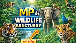 MP के प्रमुख वन्यजीव अभयारण्य | परीक्षा में बार-बार पूछे गए | Class- 26 | MPPSC AND ALL STATE EXAMS