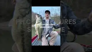 PH CUSTOM LURES SHAD GLIDE