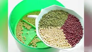 Bean Sprouts Machine