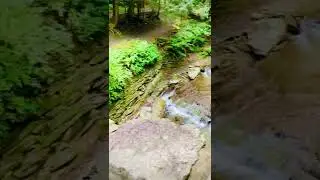 #usa #newyork #usatravel #nature #naturelovers