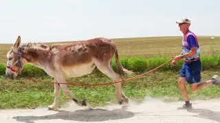 Wisconsin Life | Burro Racing