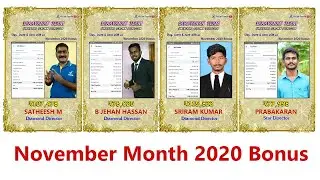 Vestige November Month 2020 Income proof - Saravanan UCD Team