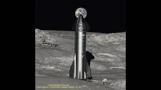 Spacex mission to moon