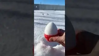 Do you like this crispy snowball? #shotrs