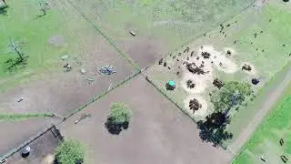 For sale: Roslyn, Crows Nest, Qld