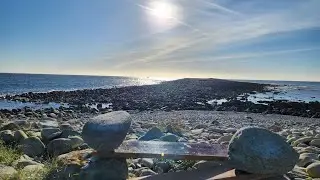 L'île aux vaches 🐮