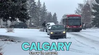 ❄️Extreme snow in Calgary Canada 🇨🇦 on march 2025 | haya vlog