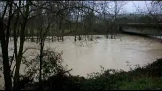 Piena del Musone.mp4
