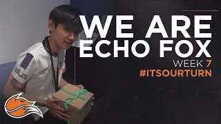 We Are Echo Fox | LCS Summer Split Week 7 - What's in the box?