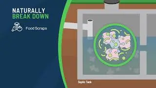 How To Maintain A Septic and Prevent Issues with EcoStrong