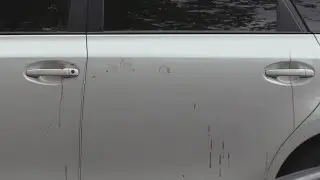 Catalytic converter thieves shoot West Rogers Park car owner
