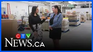 How Manitobans have kept the lights on for Harvest Manitoba
