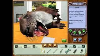 Zoo Vet - Case 8 (Olivia, The Asian Small-Clawed Otter)