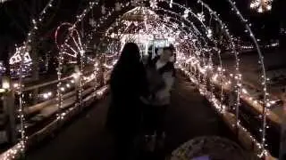 Turtle Back Zoo Christmas Light Spectacular