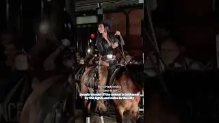 Bella Hadid rides horse in New York City while paparazzi flash photos