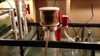 Протеиновый скиммер Vertex Omega 150 убивает