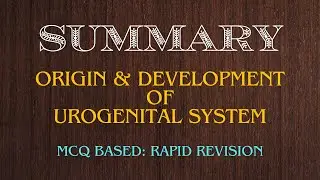 Origin and development of urogenital system (UGS), embryology MCQ by Dr. Mohsin