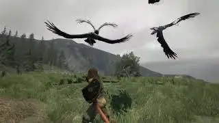 Dragon&rsquo;s Dogma  Dark Arisen - Run - NG - 16 Dragon Forged Portcrystal
