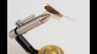 Sedge or Caddis with featherwings made with wingburners