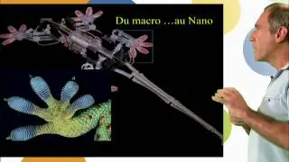 Nature et Bio-inspiration à l’échelle Nanométrique