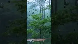 雨、ただそれだけ。#和室 #雨の音 #Vlog #癒し #AI映像 #自然音