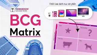 Học c&aacute;ch sử dụng BCG Matrix cho chiến lược sản phẩm trong Business Case | Tomorrow Marketers