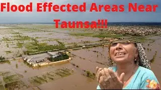 Flood Affected Areas Around Taunsa!!!||TAUNSA SHAREEF||Abdullah Malik