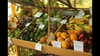 Organic Farm Life @ Ono Organic FarmsMaui Hawaii