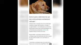 DICAS DE VET COM RAY E LILY (VETERILIFE) 3 TEMPORADA EP 1
