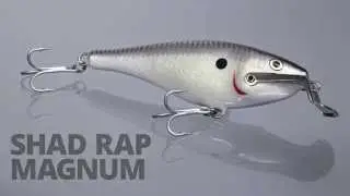 Kamex Ko : RAPALA SHAD RAP MAGNUM