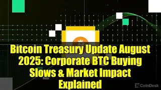 Bitcoin Treasury Update August 2025: Corporate BTC Buying Slows & Market Impact Explained