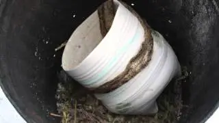 Linda Abrams - TRASH CAN FIRING