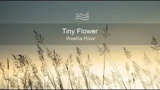 Tiny Flower