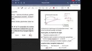 Endotermik ve ekzotermik soruları 1