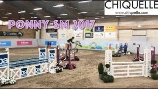 SM 2017 - Vlogg