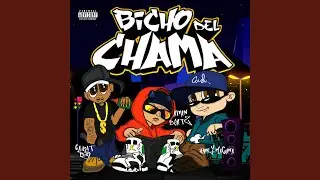 Bicho del Chama