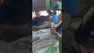 Orange wood cutting Woodcutter in palestine #woodworking